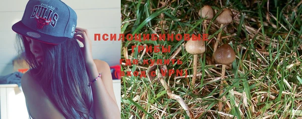 дживик Магас